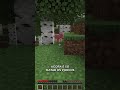 Minecraft, mas o dano é aleatório #shorts
