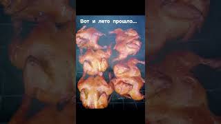 #лето #отдых #семья #природа # шашлыки #рак