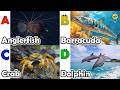 Cute ocean animals | ABC phonics animals | ABC Sea Animals song | English and Animals for Kids