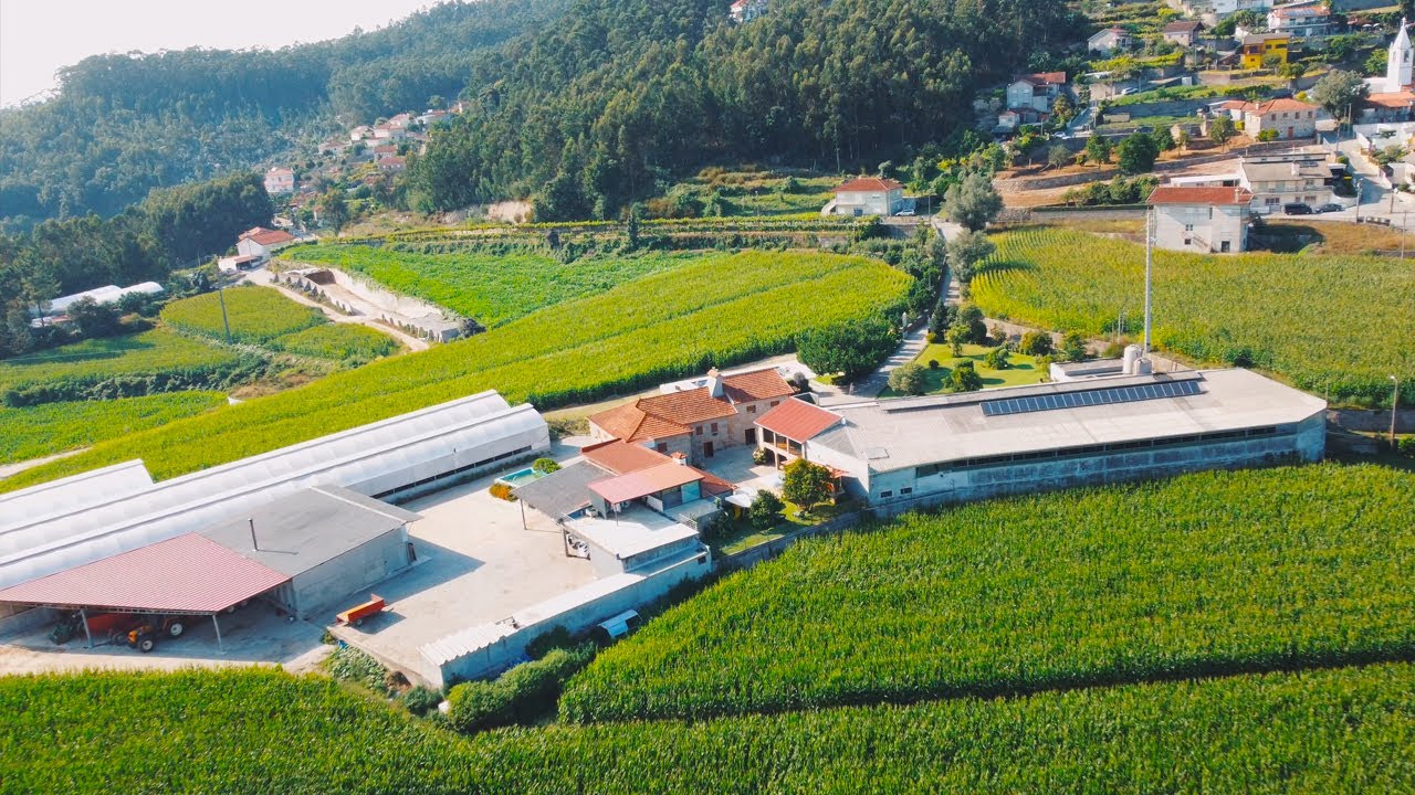 Quinta do Aido, Barcelos