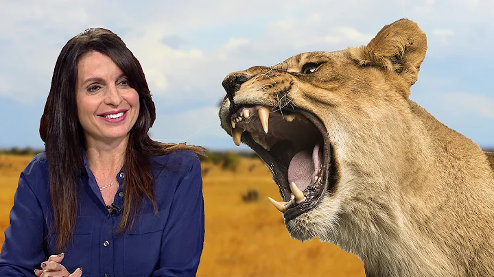 Lisa Bevere | Lioness Arising | Sid Roth's It's Su...