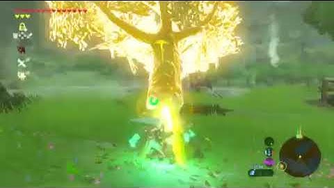 Tree Launch - BotW