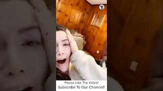 Funny Animals Moments - Funny Animals TV #1809