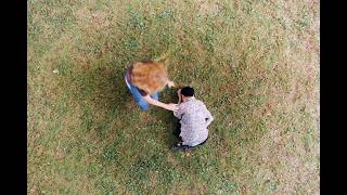 ステージⅣのがん患者・真理。同名のふたりが偶然出会い… 映画『急に具合が悪くなる』本予告