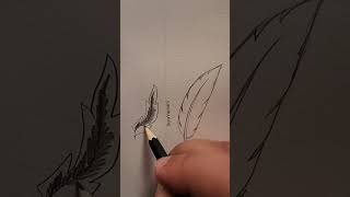 أسهل طريقة لرسم الريشة || How to draw a feather