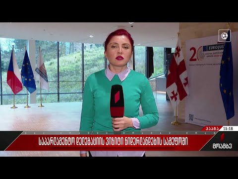 საპარლამენტო დელეგაციის ვიზიტი ნიდერლანდების სამეფოში