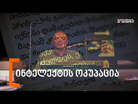 ინტელექტის ოკუპაცია - ჟურნალისტური გამოძიება
