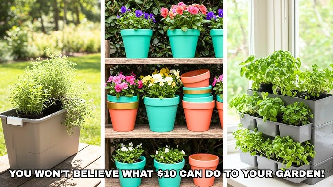 Cheap Planter Box Hacks: Easy DIY Ideas to Save Money Fast