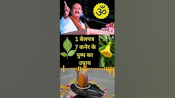 1 बेलपत्र 7 कनेर के पुष्प का#उपाय |।#pandit_pradeep_ji_mishra #upay #katha #mahadev#mahakal #shorts