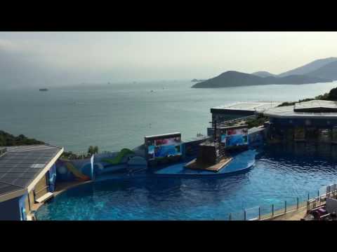 金刚狼3:殊死一战片尾曲音乐歌