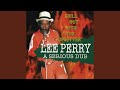 Miniature de la vidéo de la chanson Reincarnation Dub