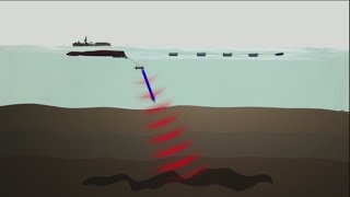 South Carolina's Lawmaker weighs in against seismic testing