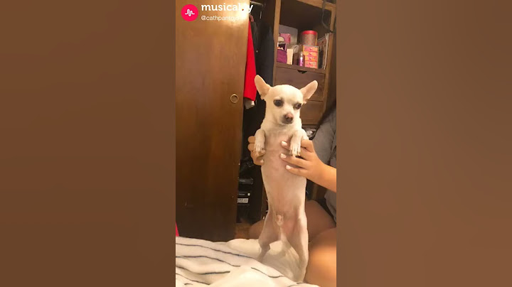 La cena esta lista