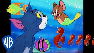 Tom & Jerry em Português | Brasil | Aventuras na Água 🦈 | WB Kids