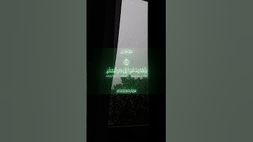 والله يدعو إلى دار السلام 💚محمد صديق المنشاوي سورة يونس