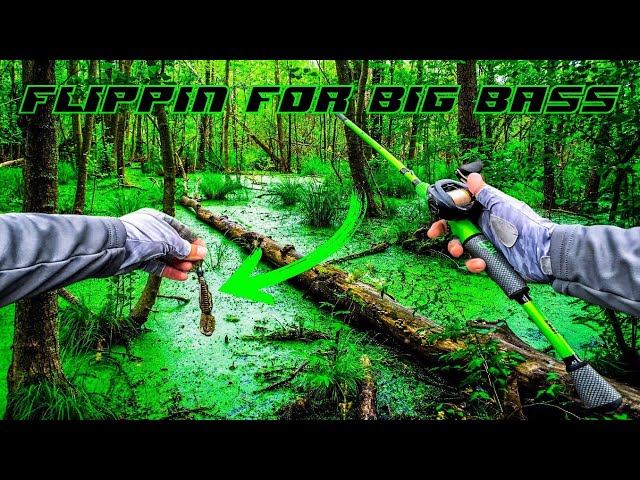 FLIPPING ONLY For BIG Spawning Bass!!!