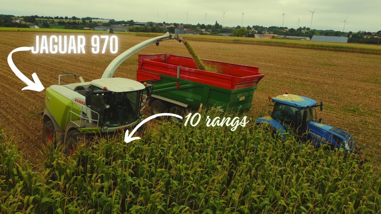 🌽ENSILAGE de MAÏS 2024 | JAGUAR 970 en 10 RANGS 🤯 - YouTube