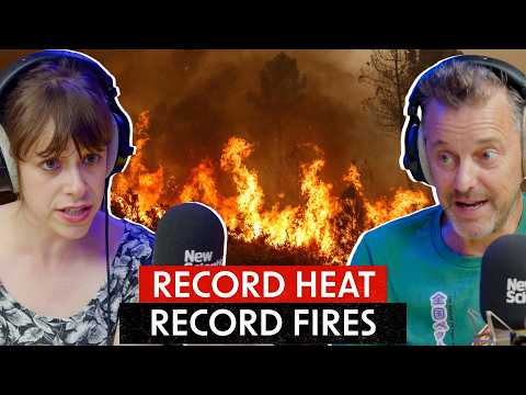 Heatwave and Wildfire Crisis: Why 2026 Is So Dangerous