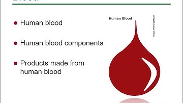 1910 BBP  Recording 2024