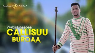 Wabii Dhaabaa- Callisuu Burqaa(lyrics)