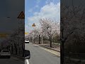 2025년 4월 1일