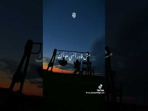 ارقع أنا قلبي معك مش قادر انساك يا حبيبي يا احلى ملاك