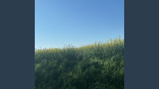 Propreté Ext​é​rieure