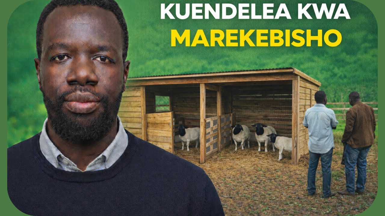 Ufugaji wa Kondoo wa Dorper Kenya | Marekebisho siku ya 2, Ziara ya Mfugaji na Wanunuzi wa Kondoo