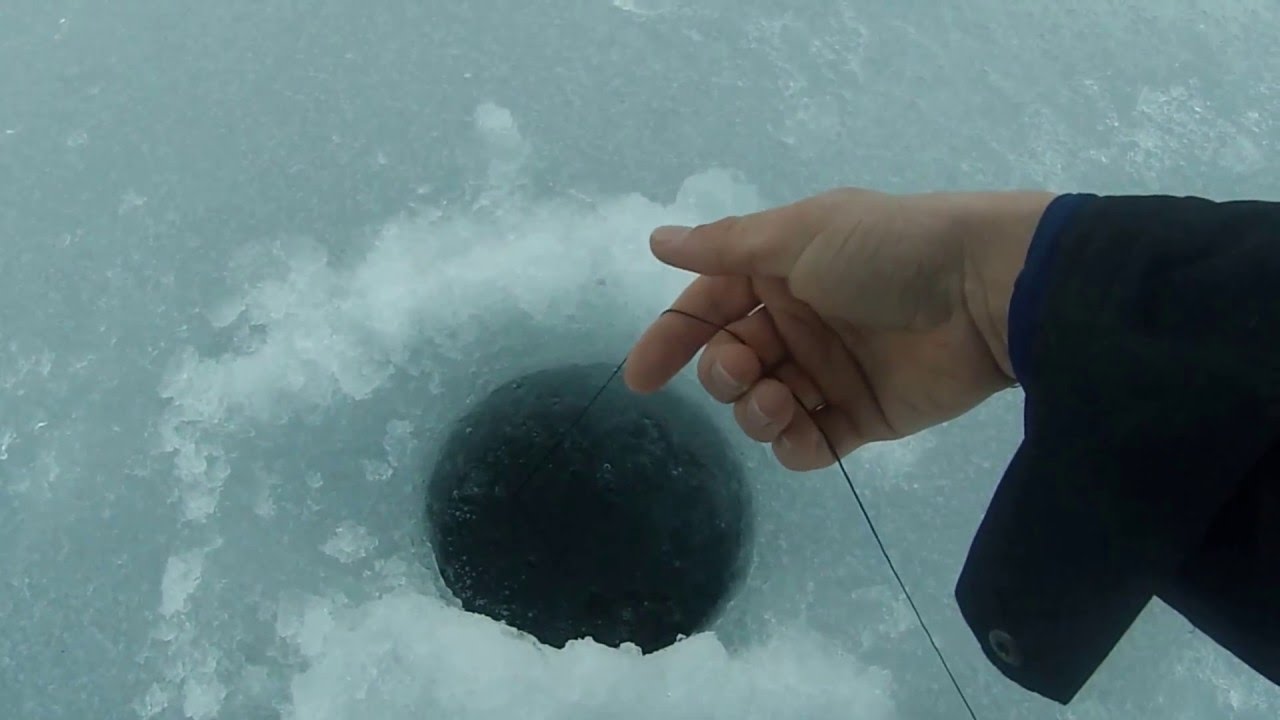 Ice Fishing Quaker Lake 2016 (small pike & perch)