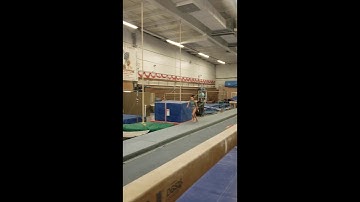 Level 2 Vault Forward Roll and Stand