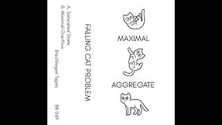 Falling Cat Problem - Saturated State [BR 049]