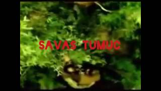 Download gula sere ciyaa Mp3 and Video gula sere ciyaa