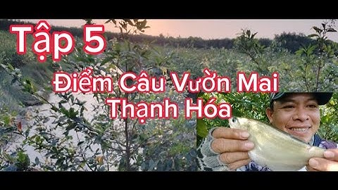 Tập 5 Trở Lại Điểm Câu Vườn Mai Thạnh Hóa/ Câu Cá Trê Vàng & Thác Lác @tvchimcacanhfishing