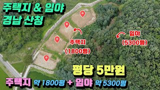 산청 주택지 매매 : 지리산과 황매산 사이 차황면 토목공사 완료된 평당 5만원 전원 주택지(약1800평) + 임야(약5300평)