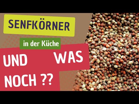 Senfkörner und ihre