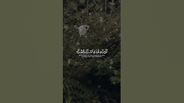 وَسارِعوا إِلى مَغفِرَةٍ مِن رَبِّكُم وَجَنَّةٍ ｜ سورة آل عمران ｜ القاري اسلام صبحي