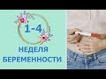 1-4 неделя беременности. Развитие плода и изменения у мамы