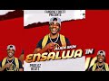 Alien skin - Ensalwa ( official audio Music) #mpendopro #2023 @DEEJAY MPENDO PRO