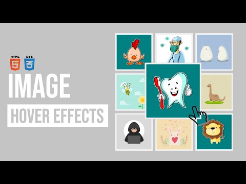 CSS Image Hover Effects