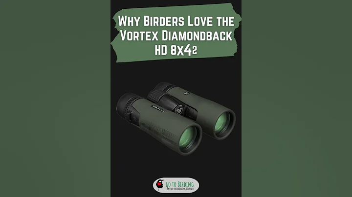 The Best Entry-level Binoculars: Vortex Diamondback HD 8×42 Binoculars Full Review
