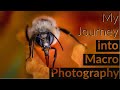 My journey into the world of macro