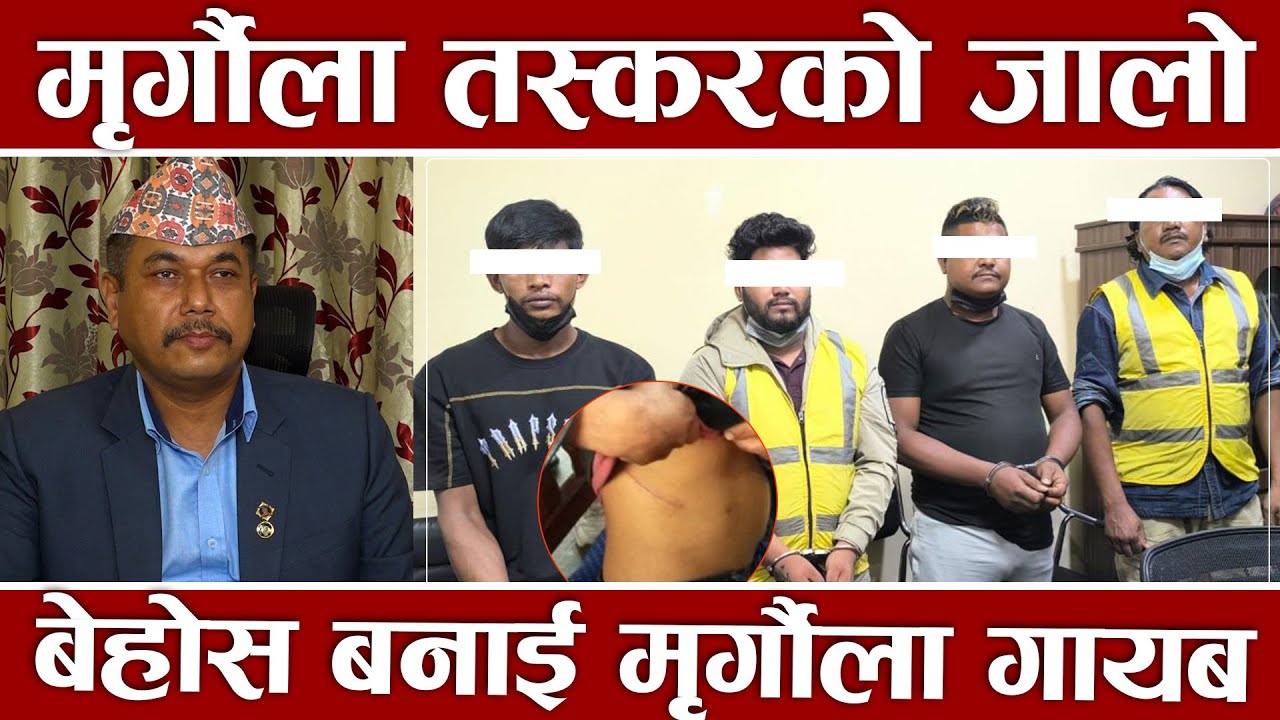 फिल्मी शैलीमा लुटियो मृर्गौला, काठमाडौँदेखि भारतसम्म पुर्याइयो, काठमडौँ आइपुग्दा बेहोस, यस्तो छ कथा