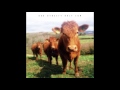 Dub dynasty  holy cow steppas records full album