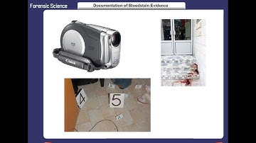 Documentation of Bloodstain Evidence