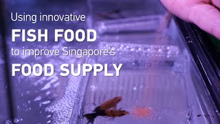 #NTUsg scientists pioneer a method to deliver fish spawning #hormones through their food