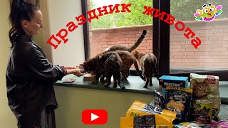 В  доме двойной праздник, приехала дочка и подарок от Галины, все счастливы в такое тяжелое время.
