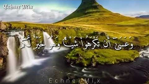 وعسى ان تكرهوا شيئا وهو خير لكم - حالات وتس - للقارئ |ماهر المعيقلي