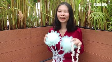 Cuộc thi Lan tỏa năng lượng tích cực 2025: Khi thời trang hòa cùng nhịp thở của biển cả