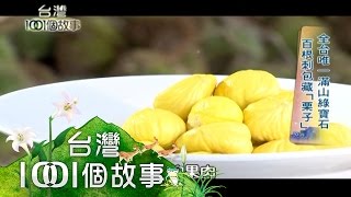 林家種栗百年歷史創造「金光閃閃」板栗第149集part1【台灣 ... 