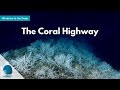 Windows to the Deep: The Coral Highway